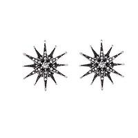 Hoop Earrings Crystal Euramerican Personalized Chrome Star White/Black Jewelry For Housewarming Thank You Business 1 pair