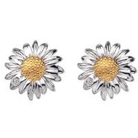 Hot Diamonds Earrings