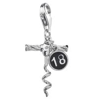 Hot Diamonds Diamond Life Silver 18 Charm DT218