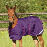 Horseware Foal Rug