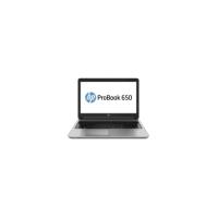 HP ProBook 650 G1 39.6 cm (15.6\