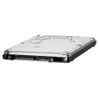 HP 641672-001 320 GB Internal