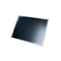 HP 395993-143 - Display Panel 15.1in. - RAW Panel - no cables - Warranty: 6M