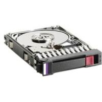 HP DP SAS 1TB (461289-001)