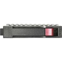 HP Dual Port Enterprise SAS 300GB (J9F44A)