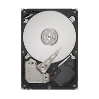 HP SATA II 500GB (504339-001)