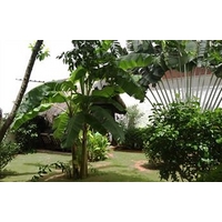 H&Atilde;&acute;tel Aurore