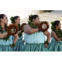 Hula on the Lawn Lessons on Hawaiian Dance and Music