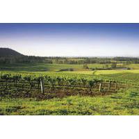 Hunter Valley Food and Wine Tasting Day Tour from Sydney Including Optional Hunter Valley Gardens