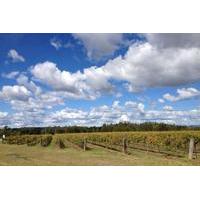 hunter valley wineries and wilderness small group tour