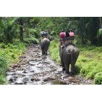 Huay Tho Waterfall Safari with Elephant Trekking and Bathing in Krabi