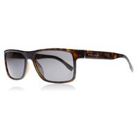 Hugo Boss 0768S Sunglasses Havana QNY 57mm