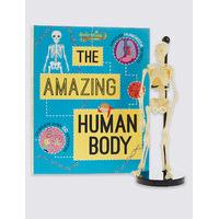 Human Body Factivity Book