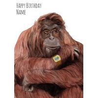 hutan birthday card od1010