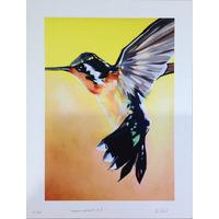 Hummingbird 3 By Martin Varennes-Cooke