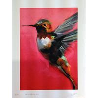 Hummingbird 1 By Martin Varennes-Cooke