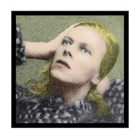 Hunky Dory By Terry Pastor