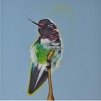 hummingbird 7 by martin varennes cooke