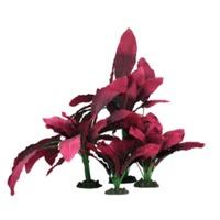 Hugo Kamishi Amazon Red Silk Plant 40cm