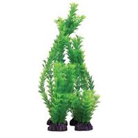 hugo kamishi hornwort green 40cm