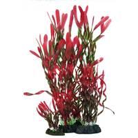 Hugo Kamishi Corkscrew Valissneria Red and Green 13cm