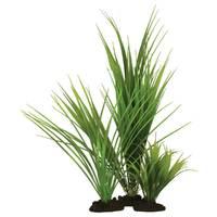 hugo kamishi variegated rush grass 30cm