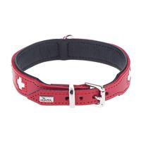 Hunter Swiss Dog Collar - Size 65: 51-58.5cm neck circumference