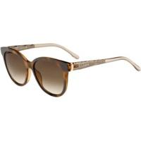 Hugo Boss 0849/S B8U JD (havana-nude crystal/havana)