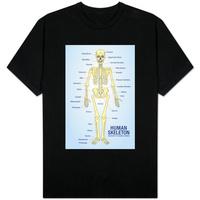 Human Skeleton Anatomy Anatomical Chart