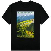 Hurricane Ridge; Olympic National Park; Washington