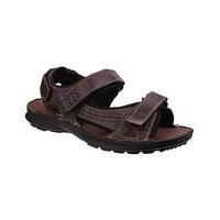 hush puppies gissey mens sandals