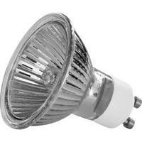 hv halogen 51 mm mller licht 230 v gu10 50 w warm white eec d reflecto ...