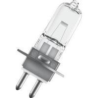 HV halogen 40.0 mm OSRAM 12 V PG22 30 W EEC: B 1 pc(s)