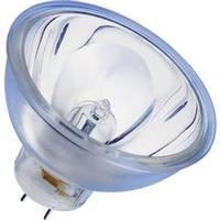 HV halogen 42.0 mm OSRAM 8 V GZ 6.35 100 W EEC: B 1 pc(s)
