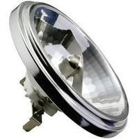 HV halogen 58 mm Paulmann 12 V G5.3 50 W Silver EEC: C Reflector bulb dimmable 1 pc(s)