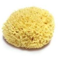 Hydr&#233;a Sea Wool Sponge 4.5-5"