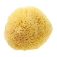 hydramp233a hard head sea sponge 25 3quot