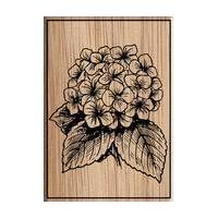 Hydrangea Colouring Stamp 15 x 10 cm