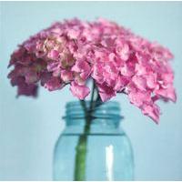 Hydrangea in a jar blank card