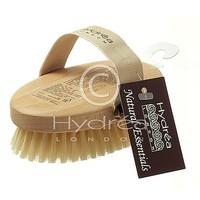 hydrea body brush with natural bristle each