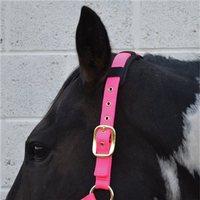 hy deluxe padded head collar