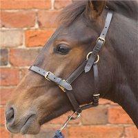 Hy Leather Foal Head Collar