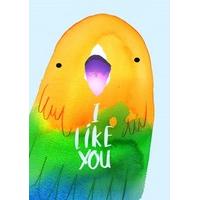 I Like You| Valentine\'s Day Card |JA1087