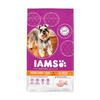 IAMS Dog Senior and Mature