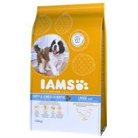 iams proactive health puppy junior large rich chicken economy pack 2 x ...