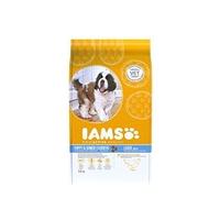 IAMS Puppy and Junior Large Chicken