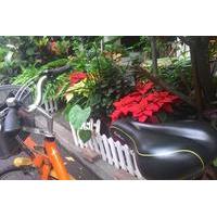 iBike Tour: City Biking and Visi...