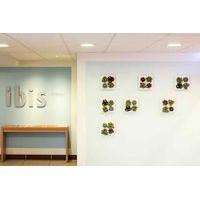 ibis Massy