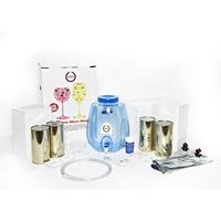 ibrew Wine Starter Kit Cabernet Sauvignon