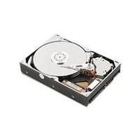 Ibm 1TB 6Gbps Nl 2, 5 Sata Hs New Retail, 46W0877, FRU46W0877 (New Retail)